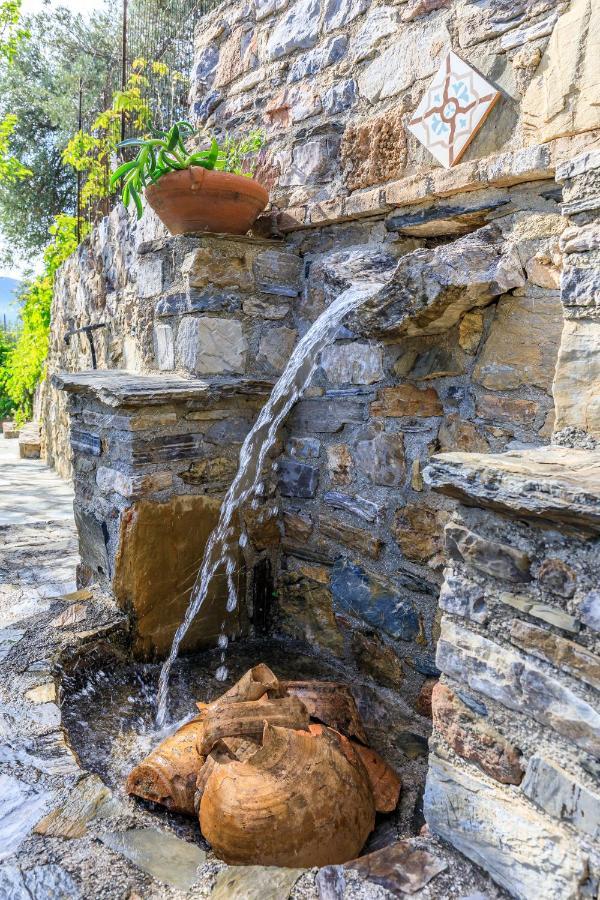 Villa Agia Marina スコペロス エクステリア 写真
