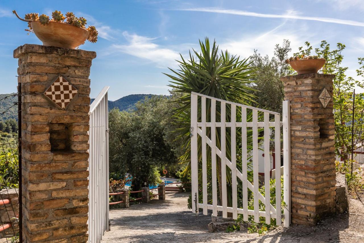 Villa Agia Marina スコペロス エクステリア 写真