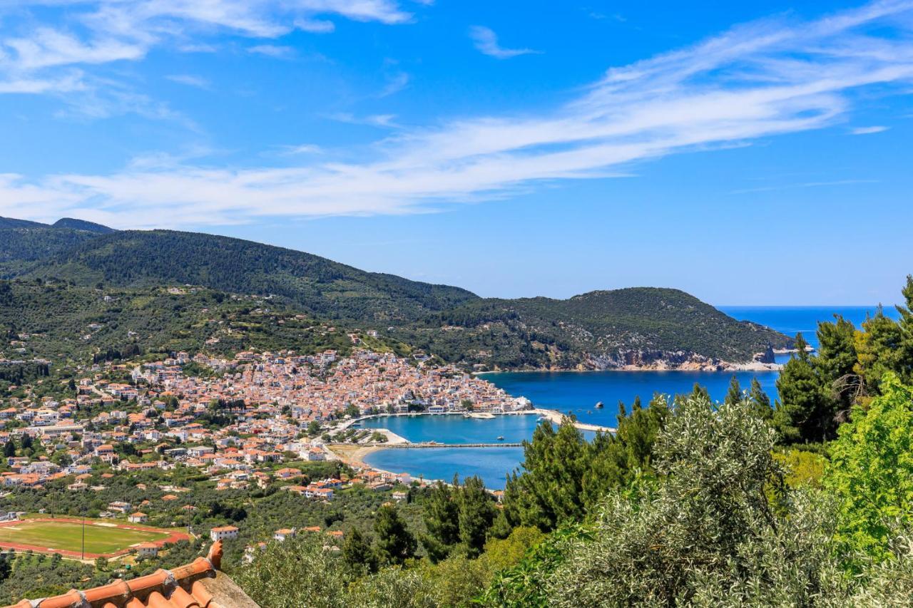 Villa Agia Marina スコペロス エクステリア 写真