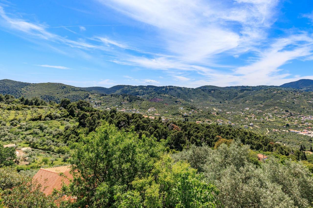 Villa Agia Marina スコペロス エクステリア 写真