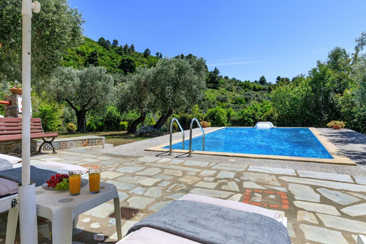 Villa Agia Marina スコペロス エクステリア 写真